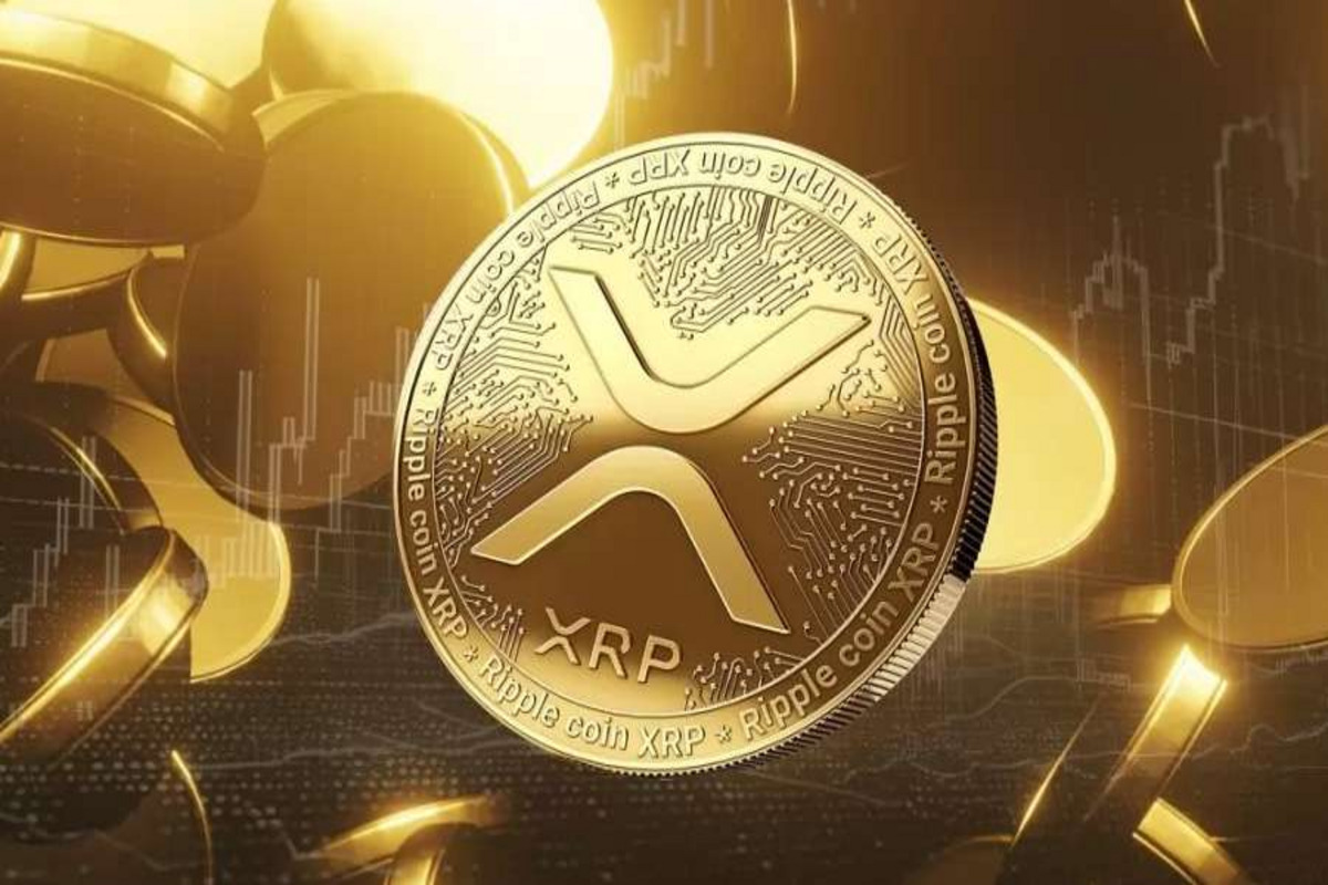 How Much XRP Should I Own