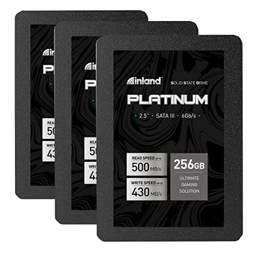 INLAND Platinum 256GB SSD (3 Pack)