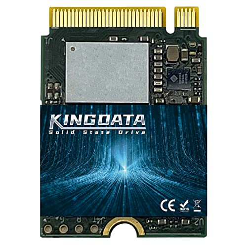 KINGDATA 256GB M.2 2230 NVMe PCIe SSD Gen 4.0X4
