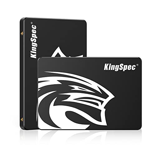 KingSpec 1TB SSD
