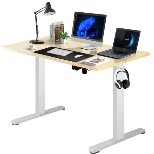 Lifetime Home Height Adjustable 48 Inches Standing Desk - Maple