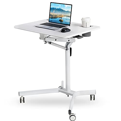 Mobile Sit Stand Desk