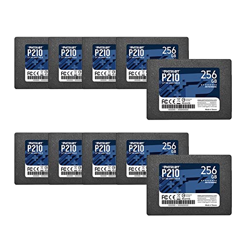 P210 SATA 3 256GB SSD 10 Pack