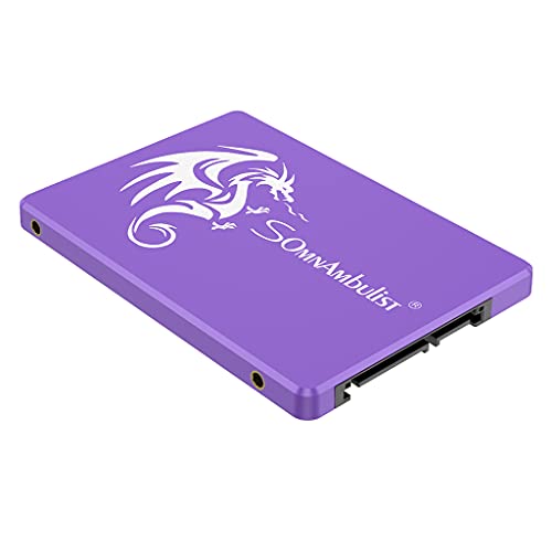 Purple Dragon 240GB SSD