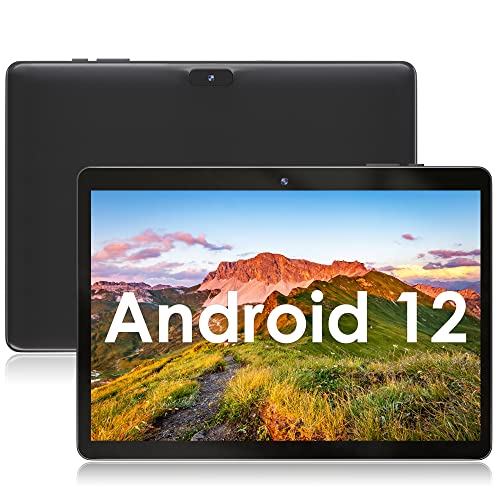 SGIN 10 inch Android Tablet with Quad-Core Processor