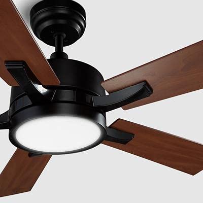 Smart Ceiling Fan with Remote Control