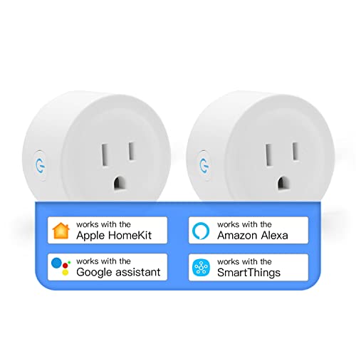 Smart Plug Mini with Voice Control and Timer Function