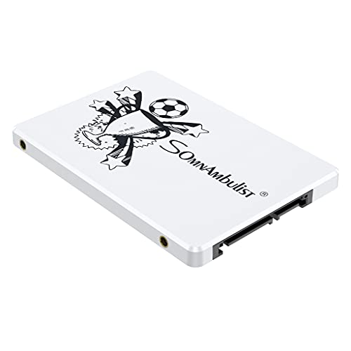 Somnambulist 2.5 SATA SSD - White Trophy 2TB