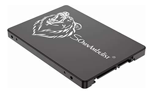 Somnambulist SSD 120GB SATA SSD Hard Disk