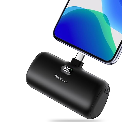 Taegila Portable Charger