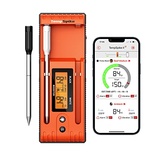 Gornel 2 Probe Meat Thermometer Wireless Digital Cooking Thermometer Meat  Probe