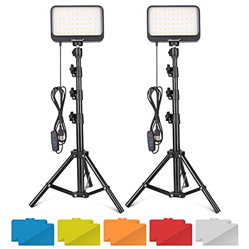 UBeesize LED Video Light Kit