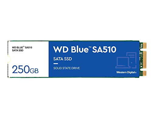WD 250GB WD Blue SA510 SATA Internal SSD