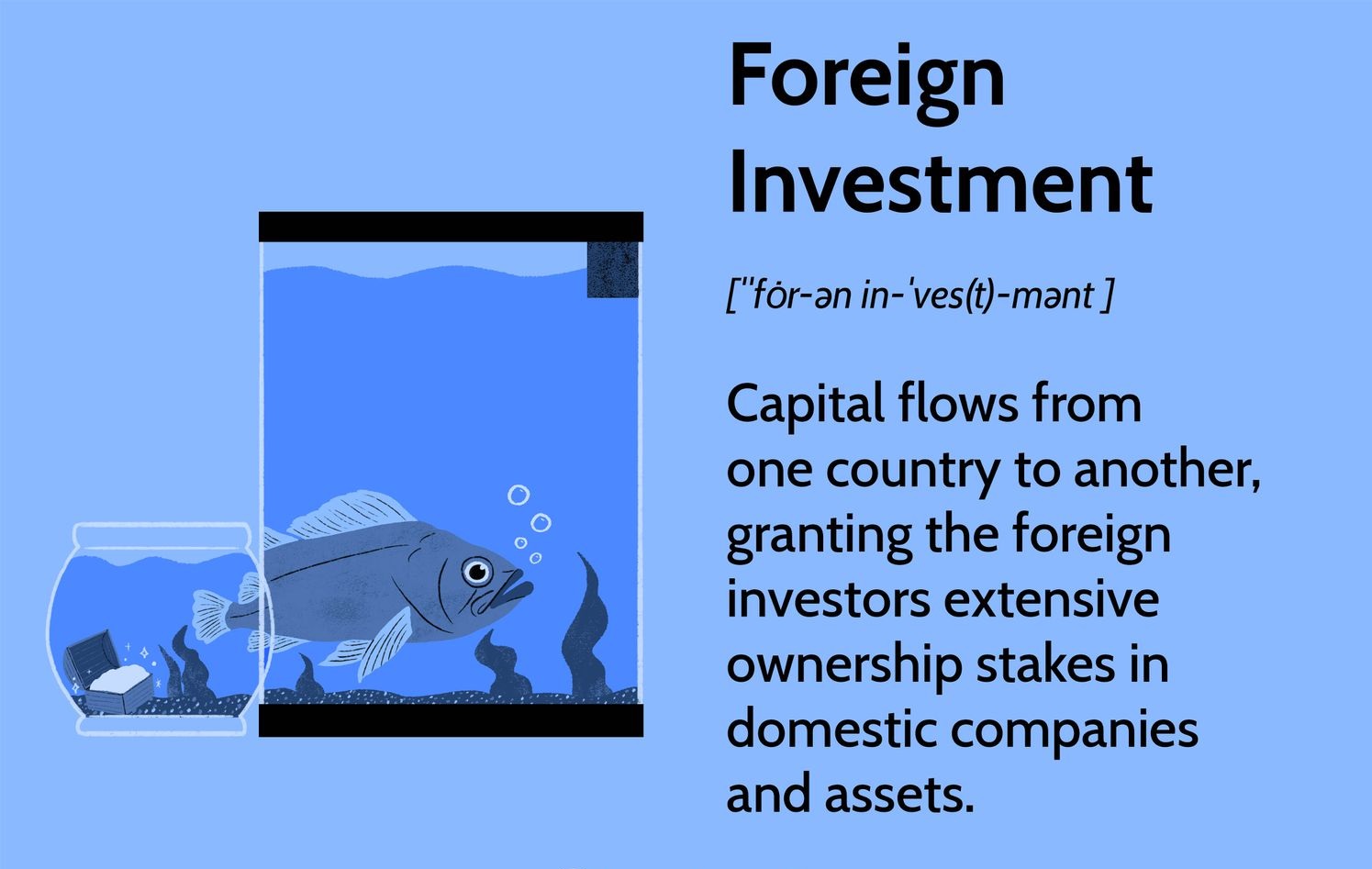What Are Foreign Investments