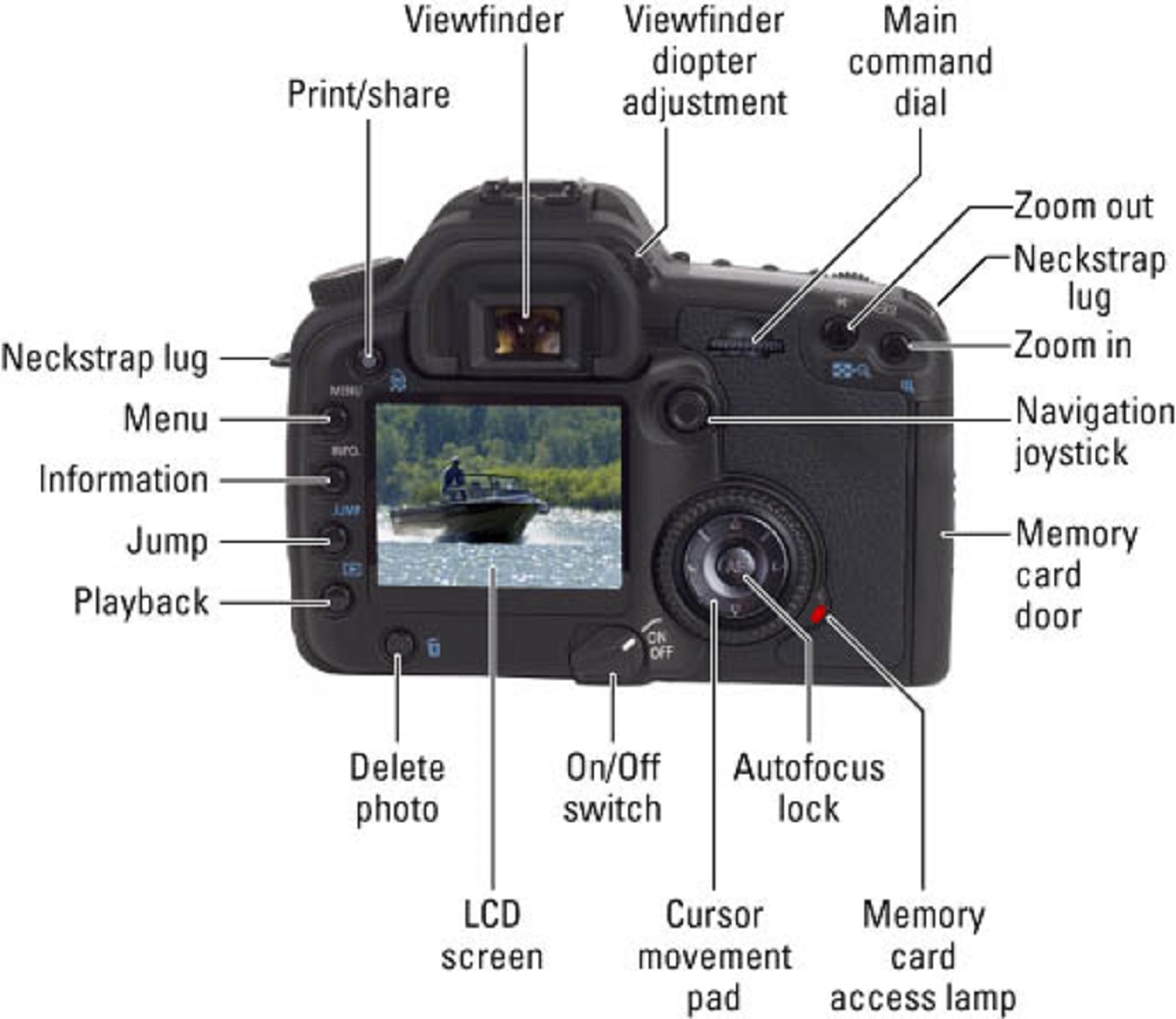 What Are The Components Of A Digital SLR Camera