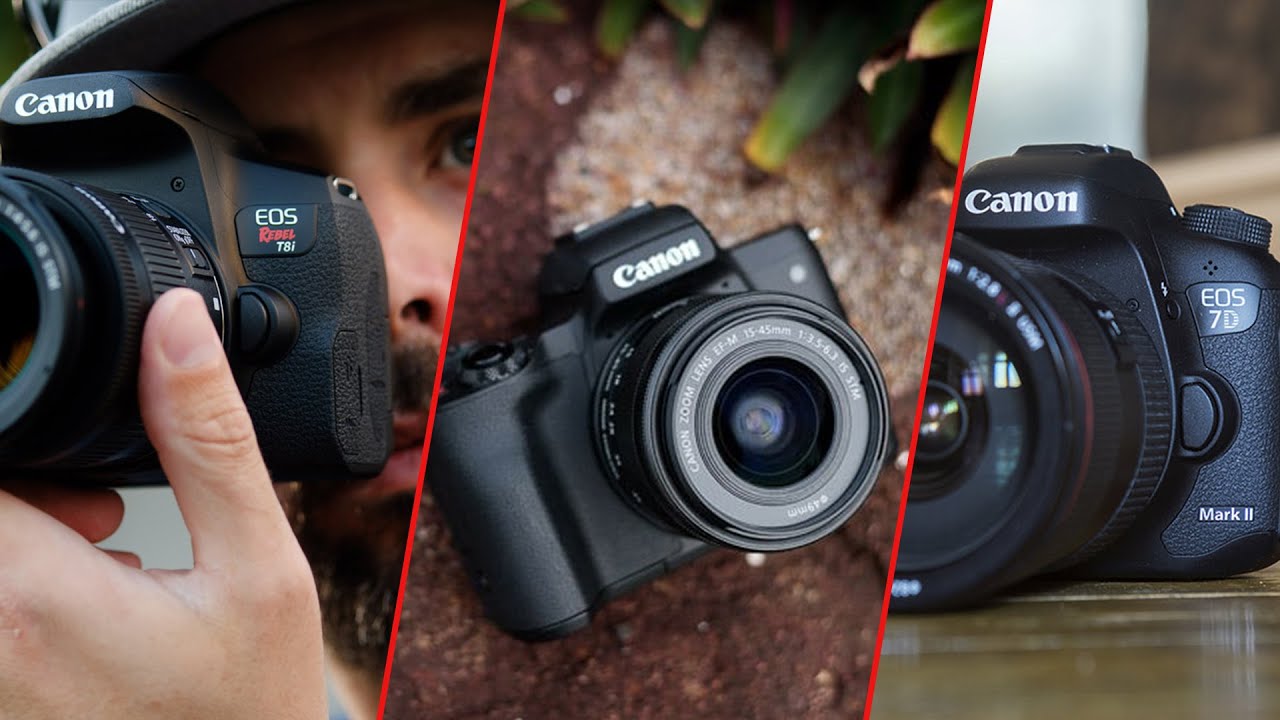 what-is-a-good-beginners-digital-slr-camera
