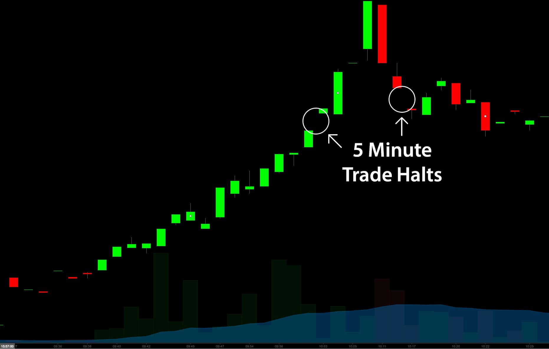 What Is A Trading Halt