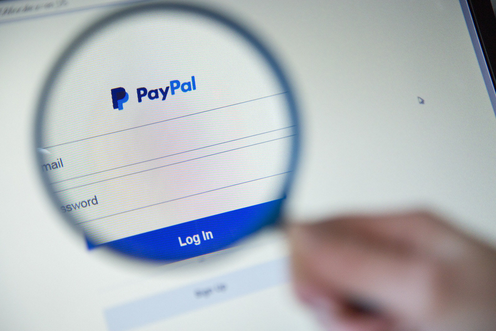 what-is-paypals-email-address