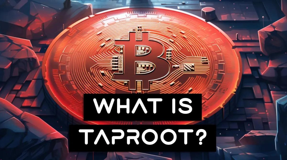 what-is-taproot-bitcoin