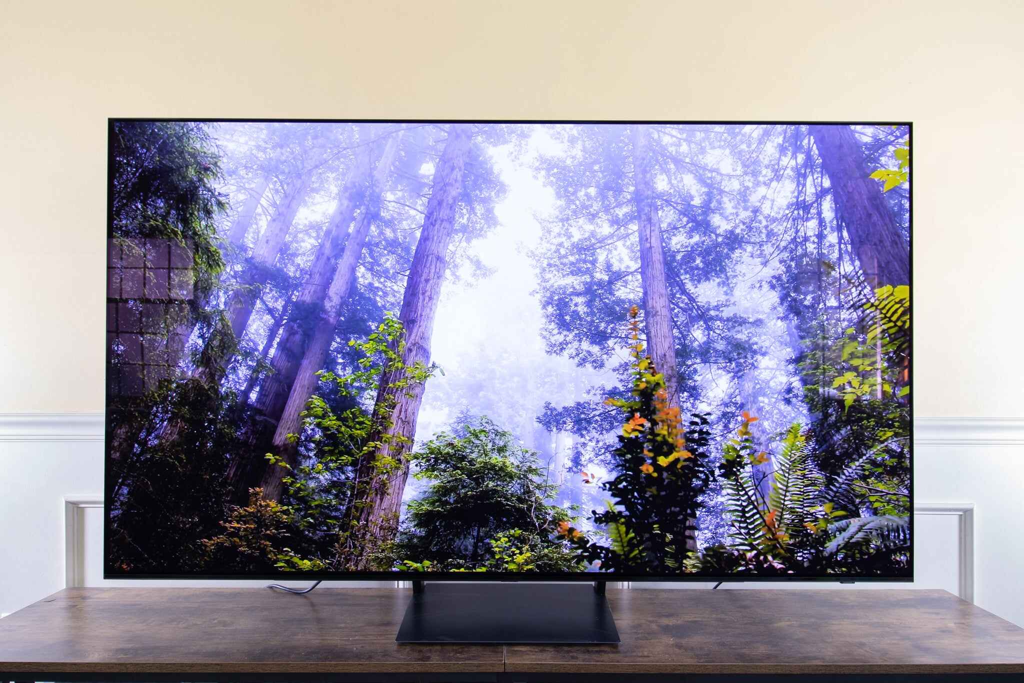 What Is The Best LG OLED TV