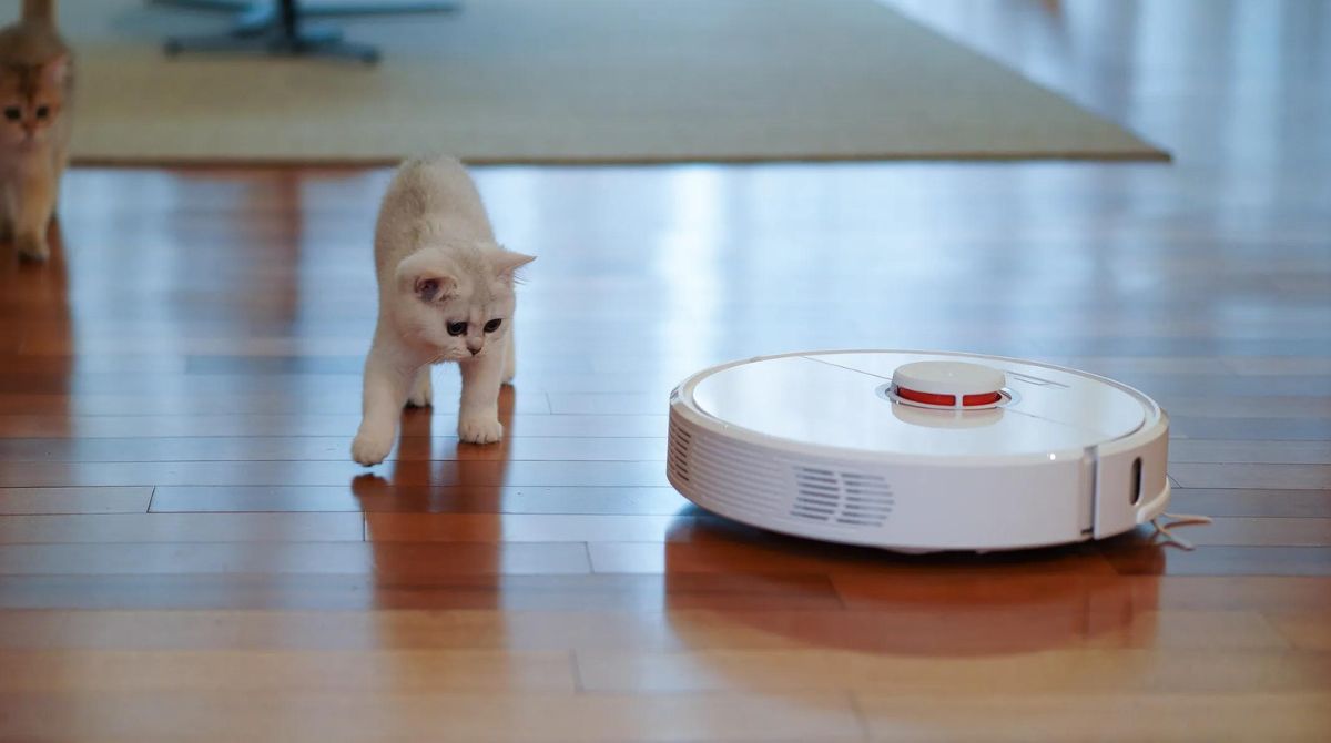 What Is The Best Robot Vacuum For Hardwood Floors