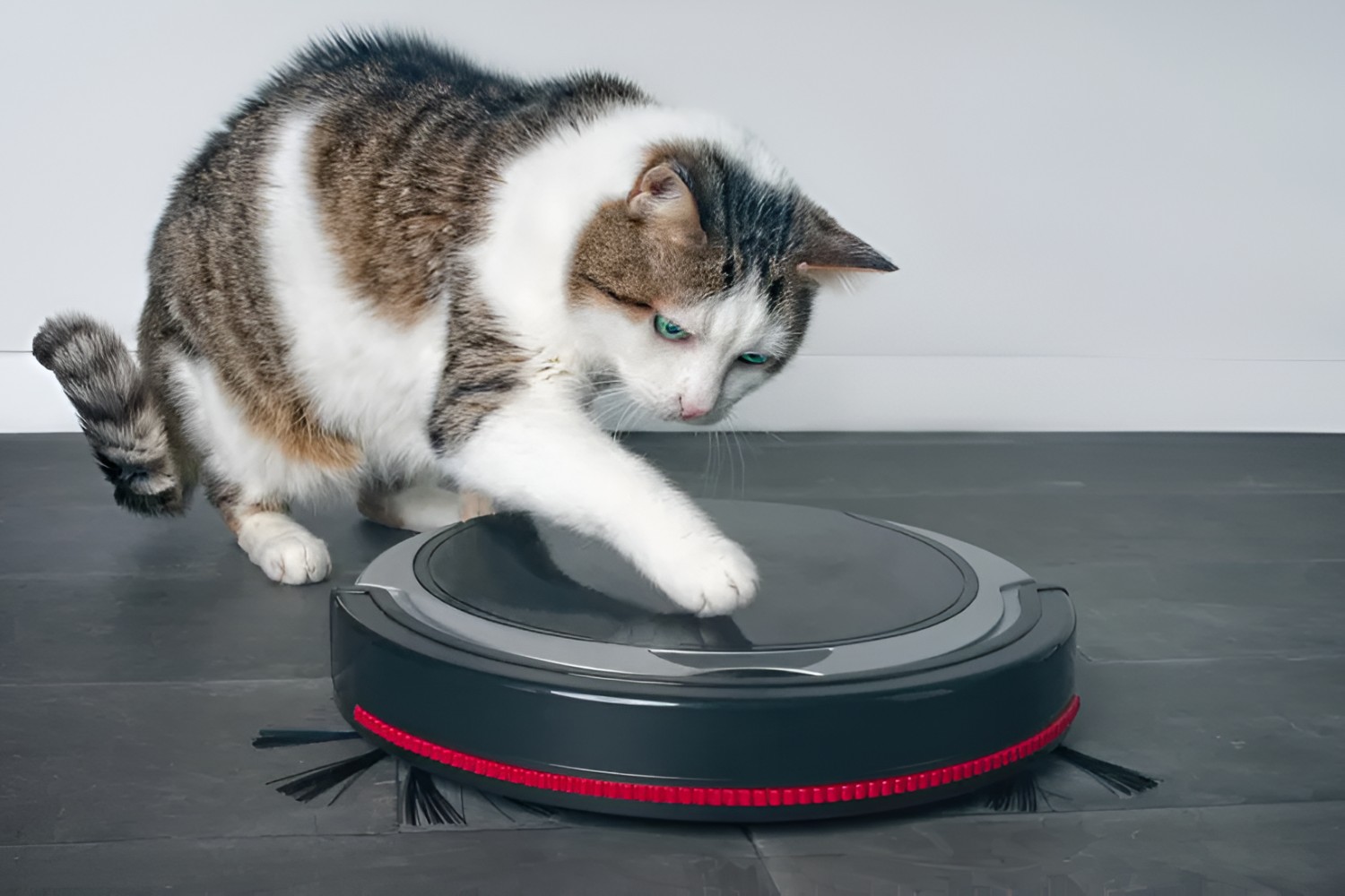 What Is The Best Robot Vacuum For Pet Hair