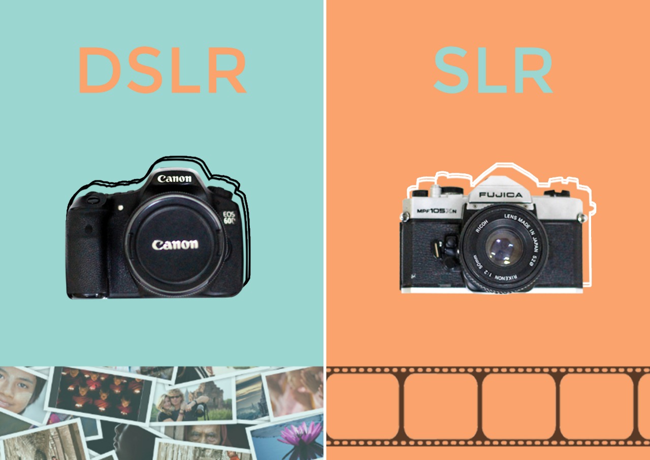 What Is The Difference Between A Digital Camera And A Digital SLR Camera