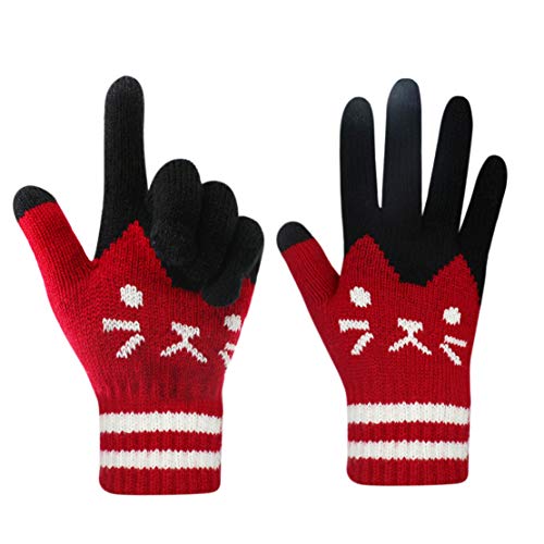Winter Touch Screen Gloves for Smartphone