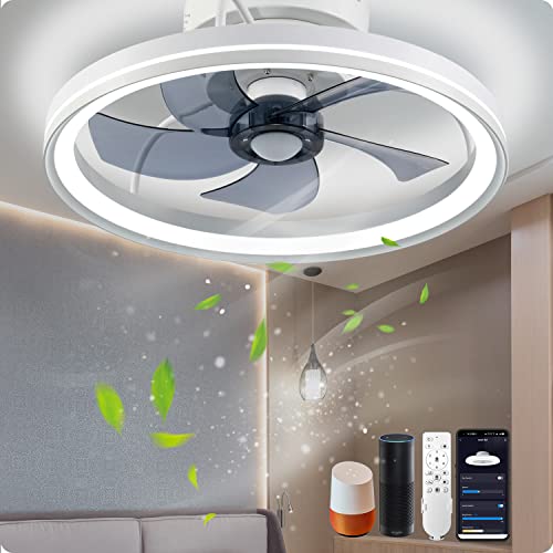 YeetFerret WiFi Smart Ceiling Fan With Light