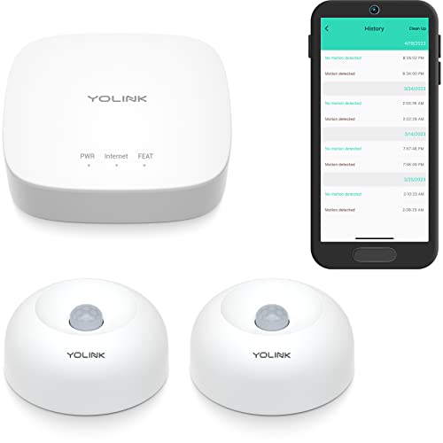 YoLink LoRa 1/4 Wireless Range Motion Sensors
