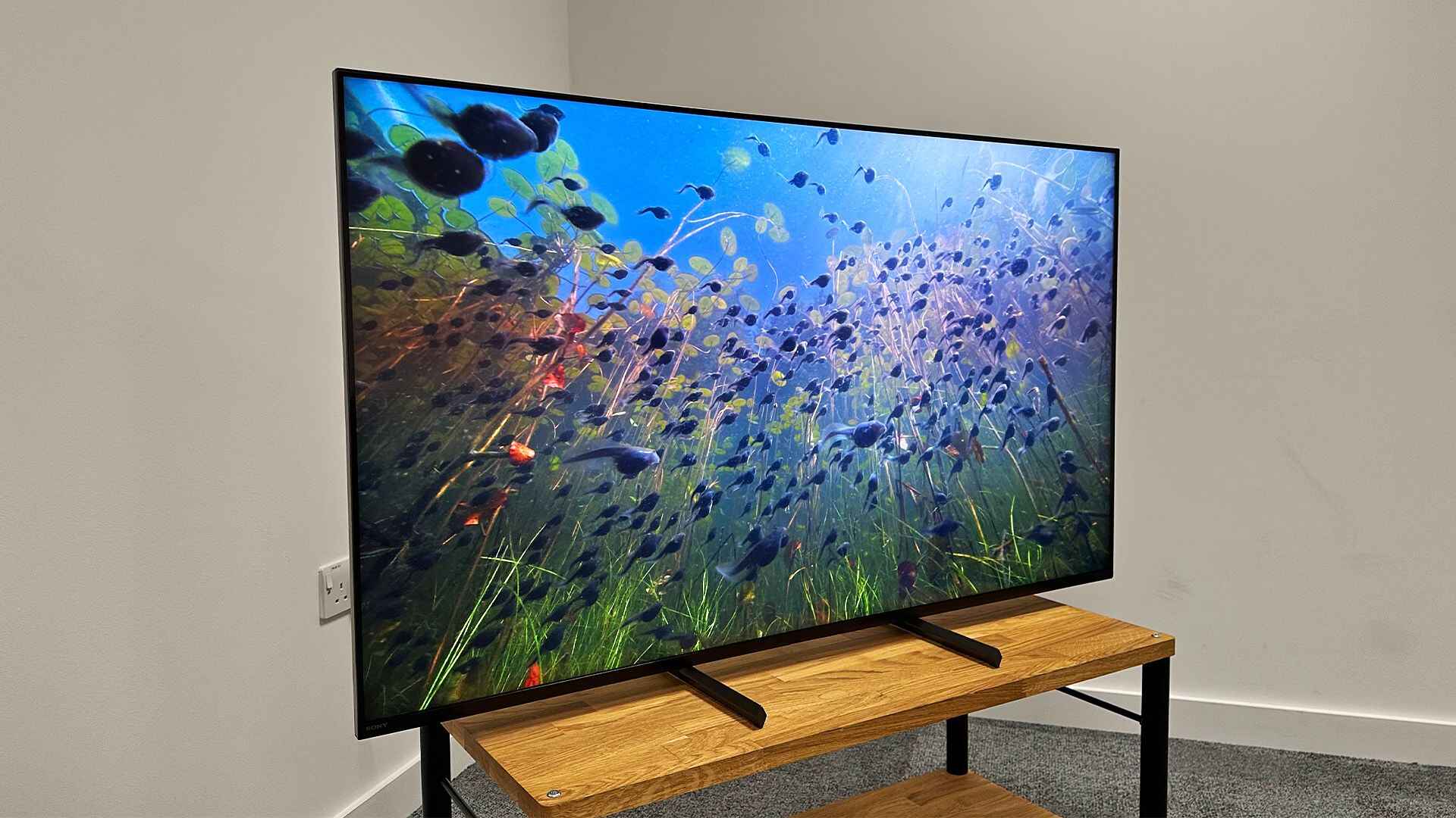 10 Best Sony 32 Inch LED TV For 2024