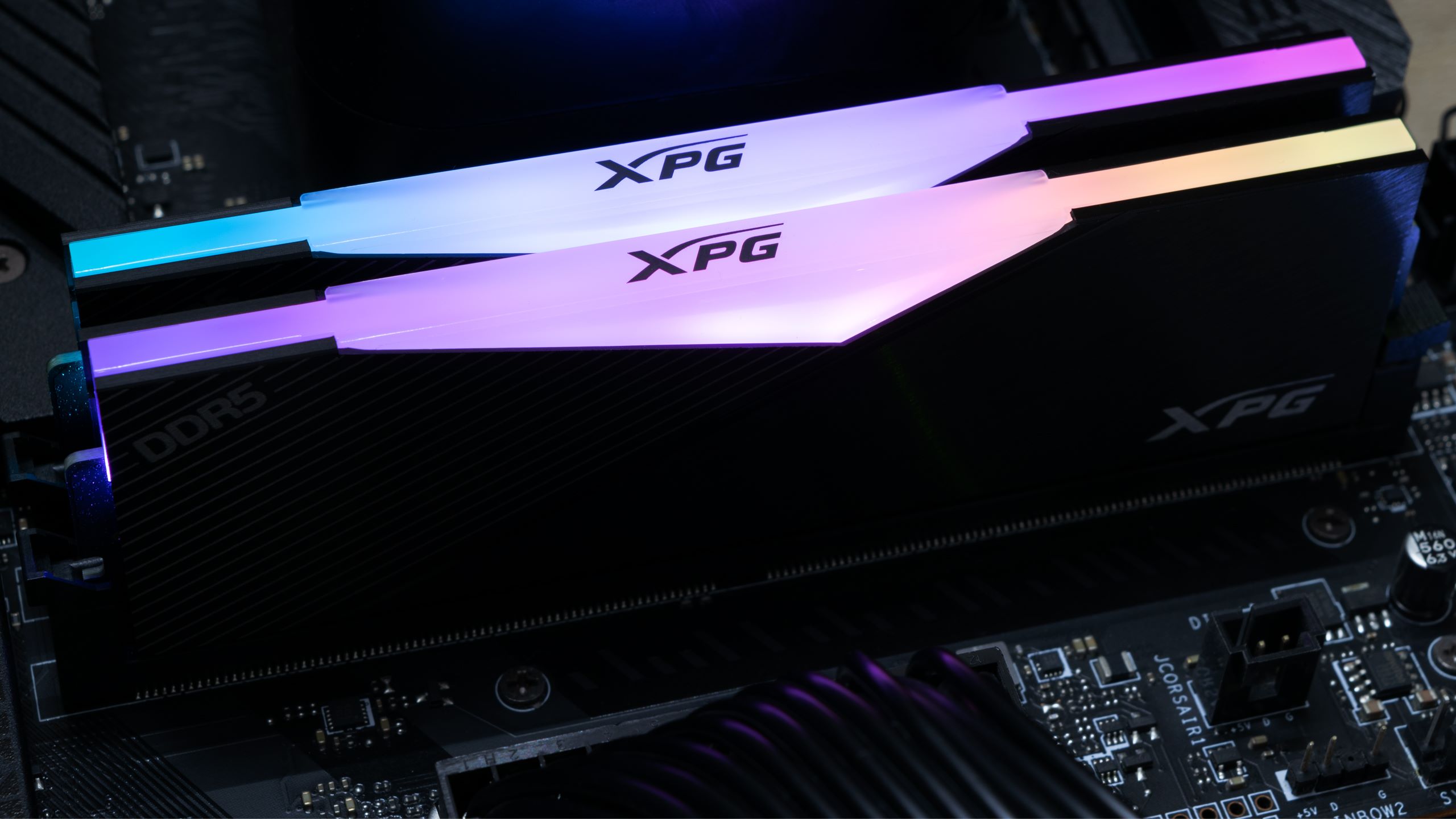 10 Best Xpg RAM For 2024