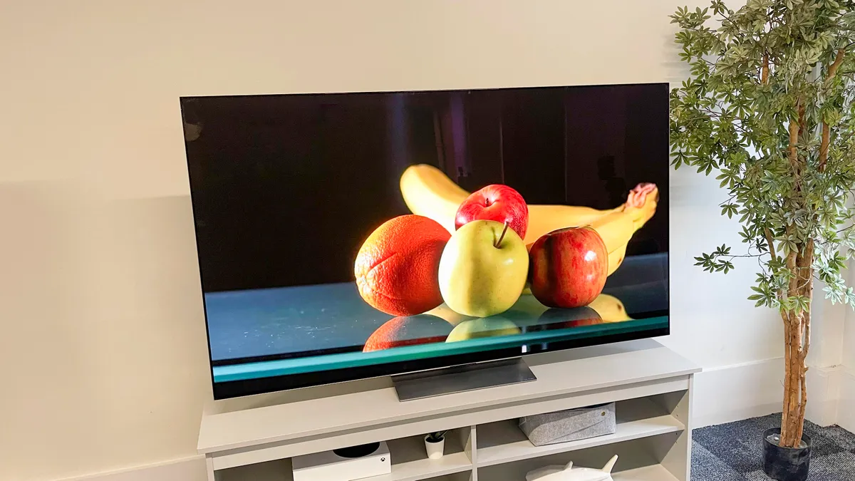 13 Amazing 55 OLED TV For 2024