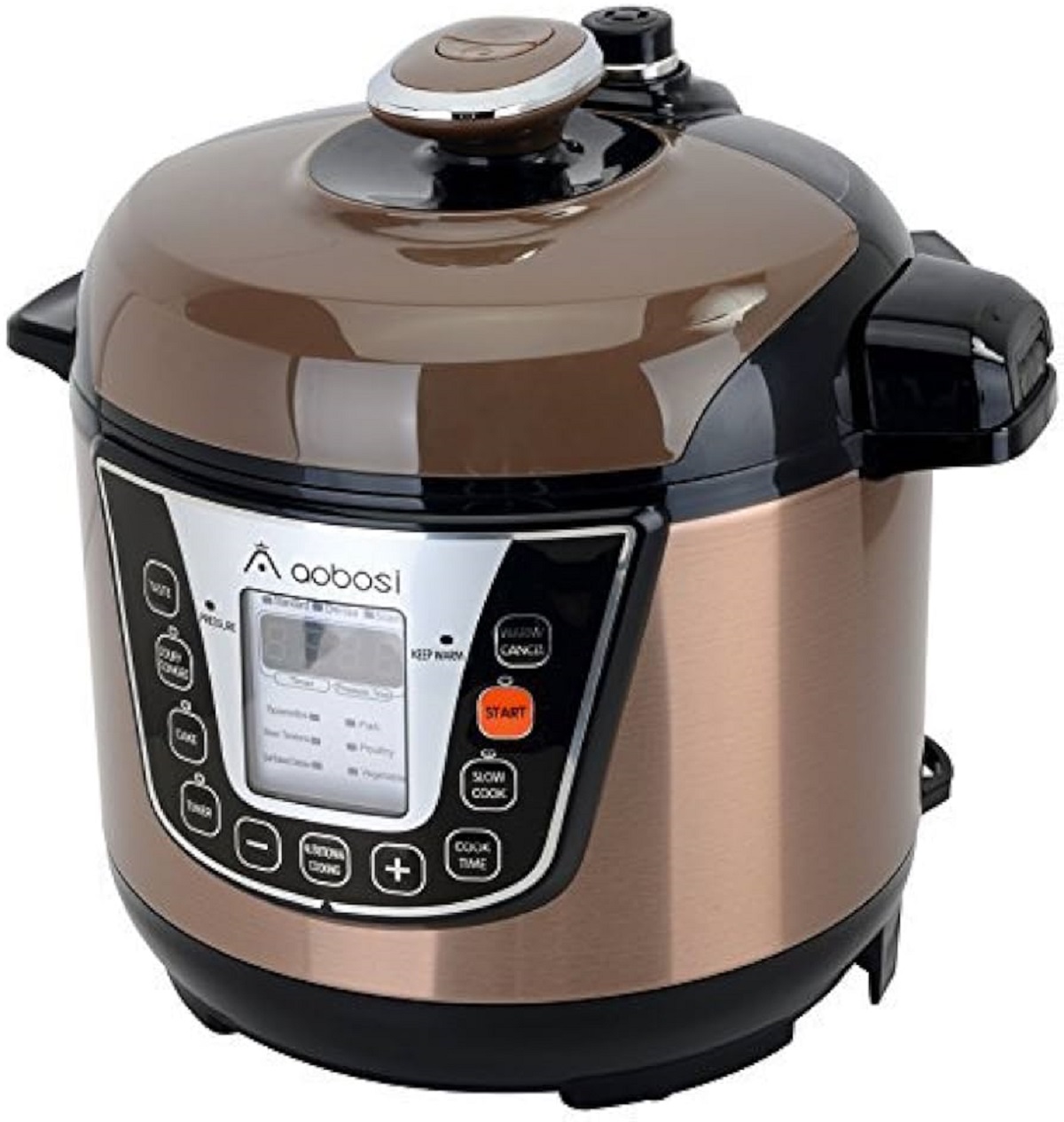 6 Best Aobosi Electric Pressure Cooker For 2024