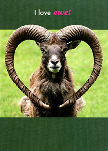 Adorable Ram Love Card with Heart-Shaped Horns