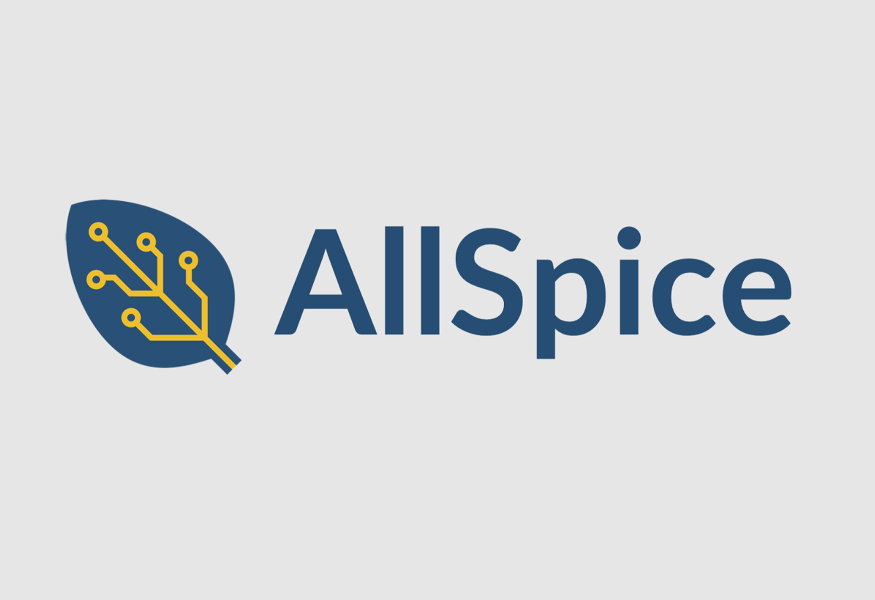 allspice-revolutionizing-collaboration-for-enterprise-developers