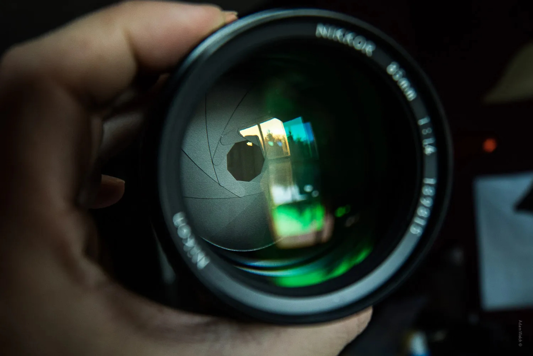 How Does A Mirrorless Camera Shutter Work