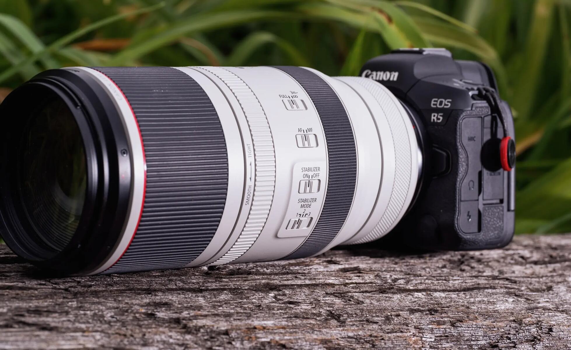 How Many Lenses Does Canon Have For Its New Mirrorless Camera
