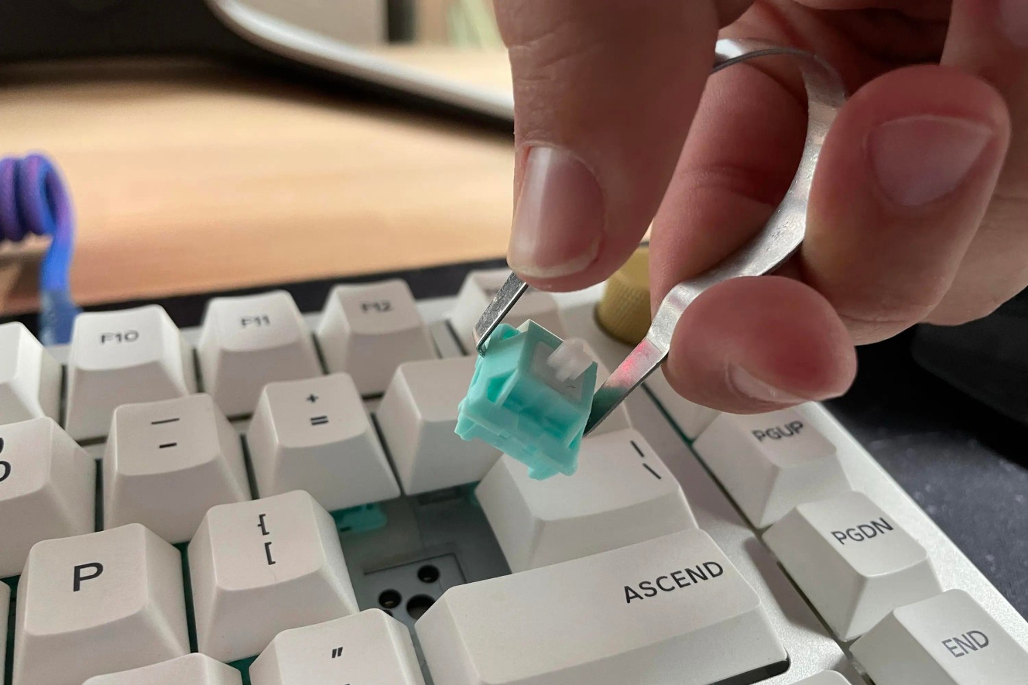 how-to-change-mechanical-keyboard-switches