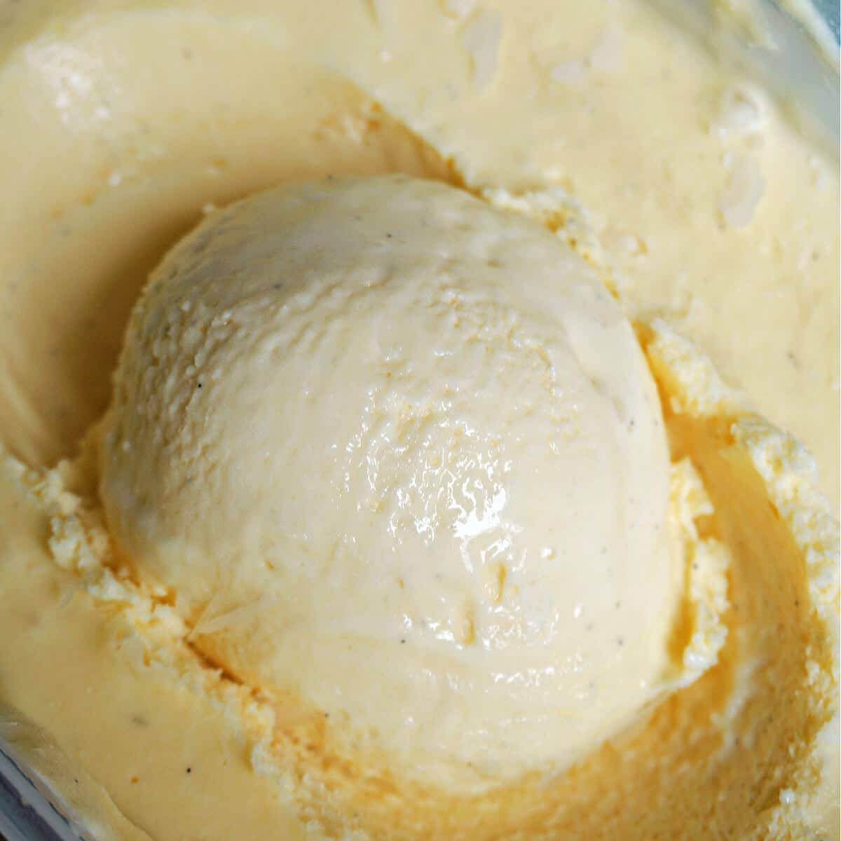 how-to-make-ice-cream-with-milk-in-ice-cream-maker