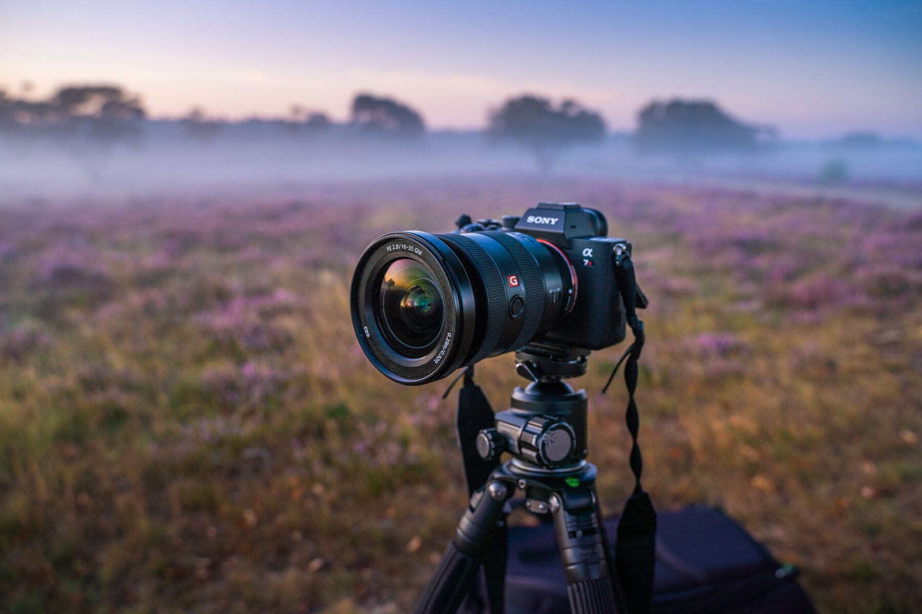 How To Use A Sony Mirrorless Camera For Landscape Photography
