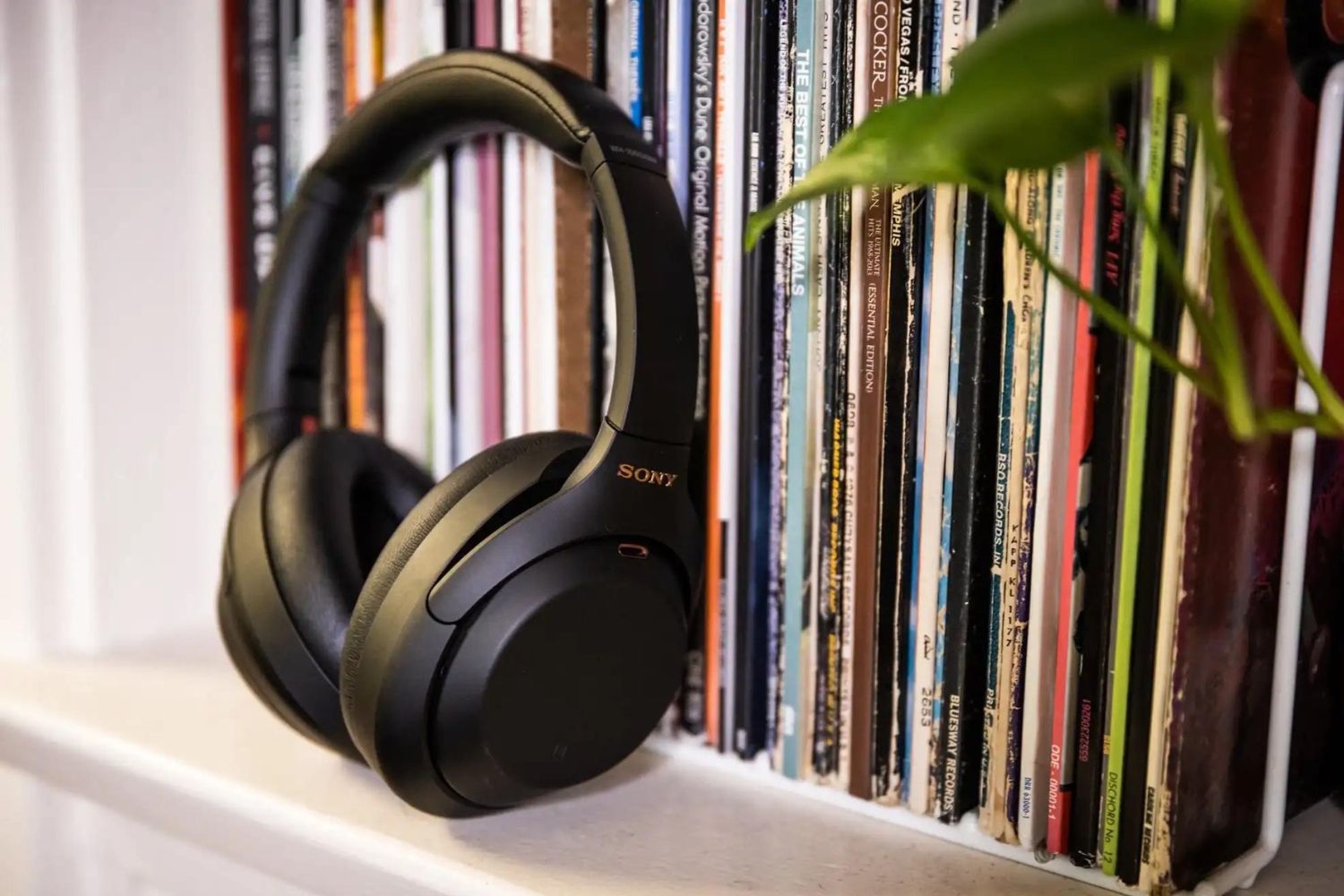How To Use Sony Noise Cancelling Headphones