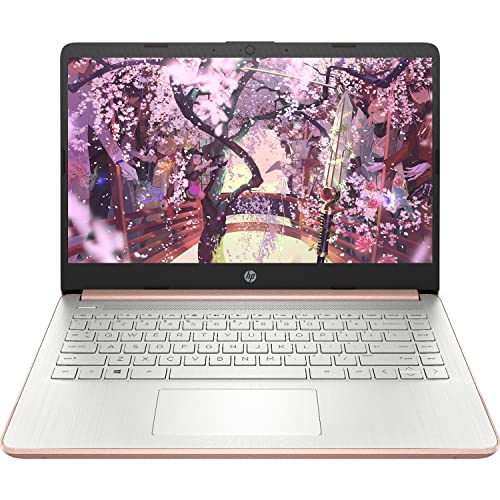 HP Premium 14-inch Laptop