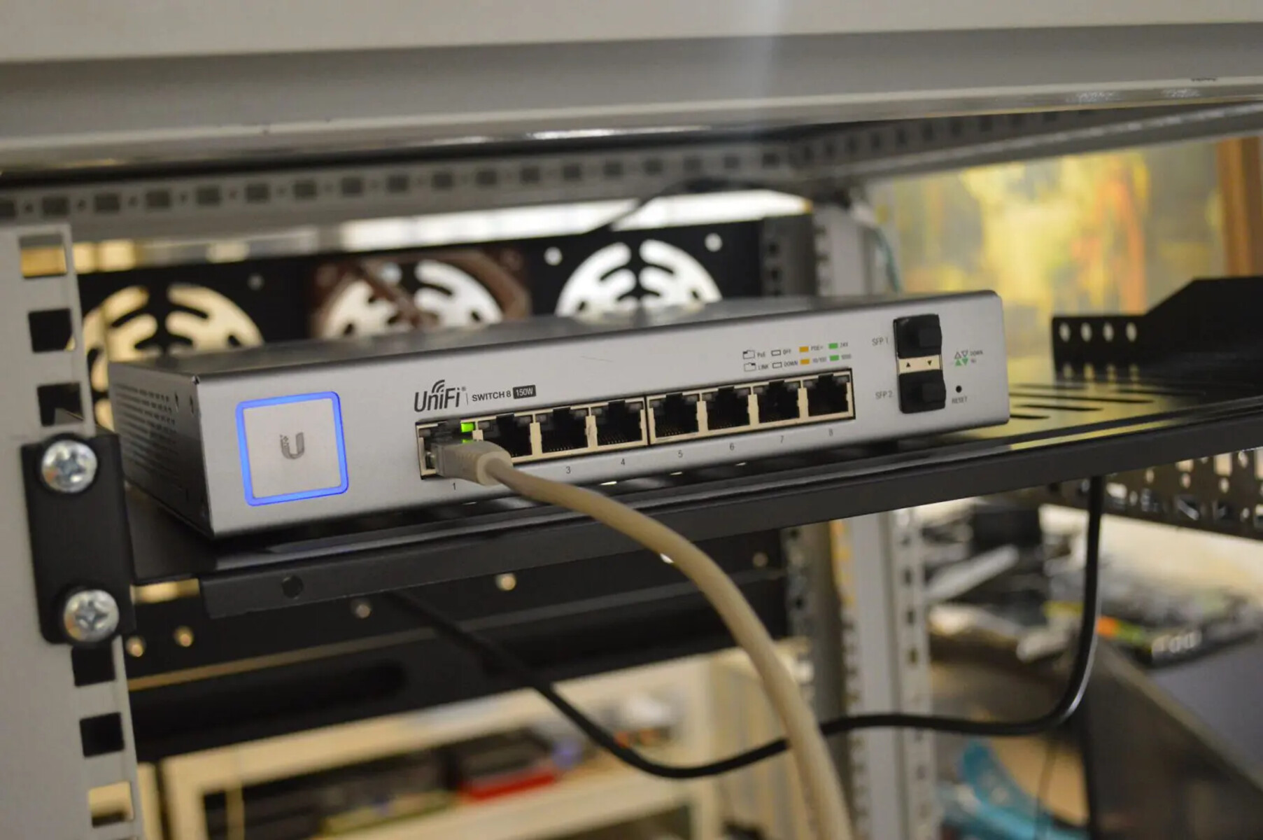Internet Speed Drops Significantly When Hooked To Network Switch