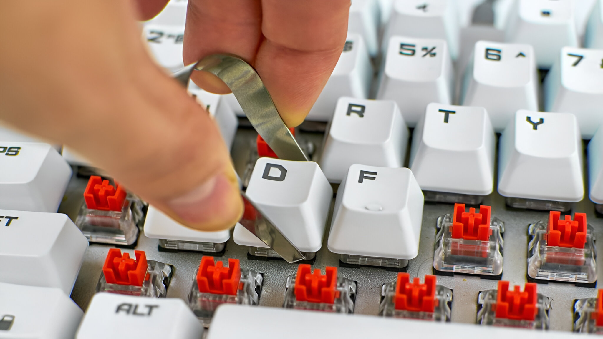 Mechanical Keyboard Key Not Working – How To Fix