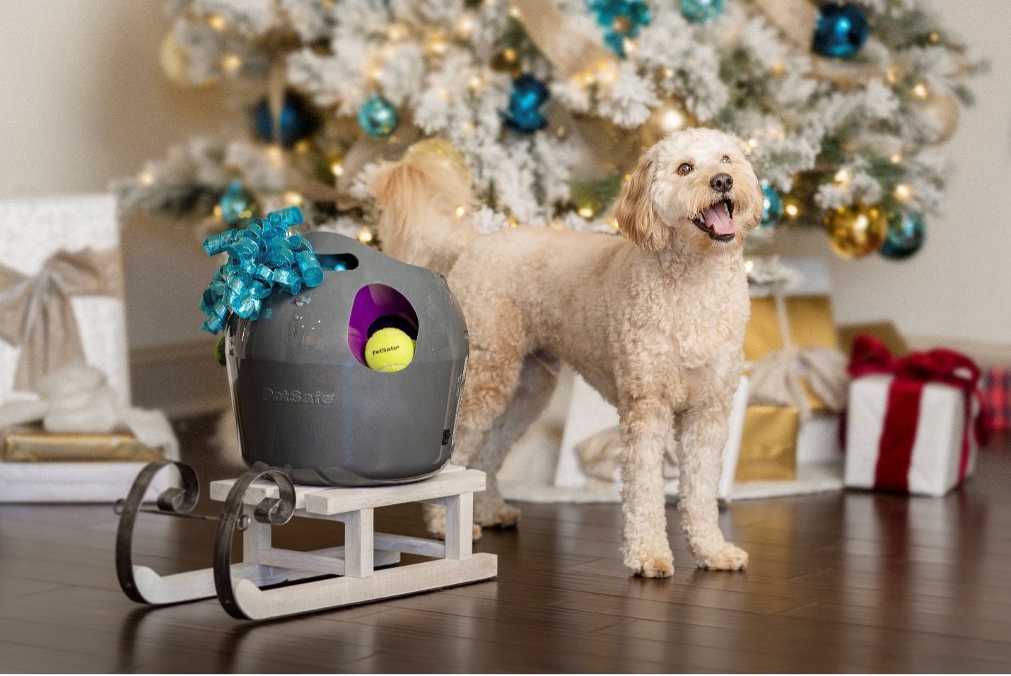 Top 5 Pet Tech Gifts To Spoil Your Fur Babies In 2023