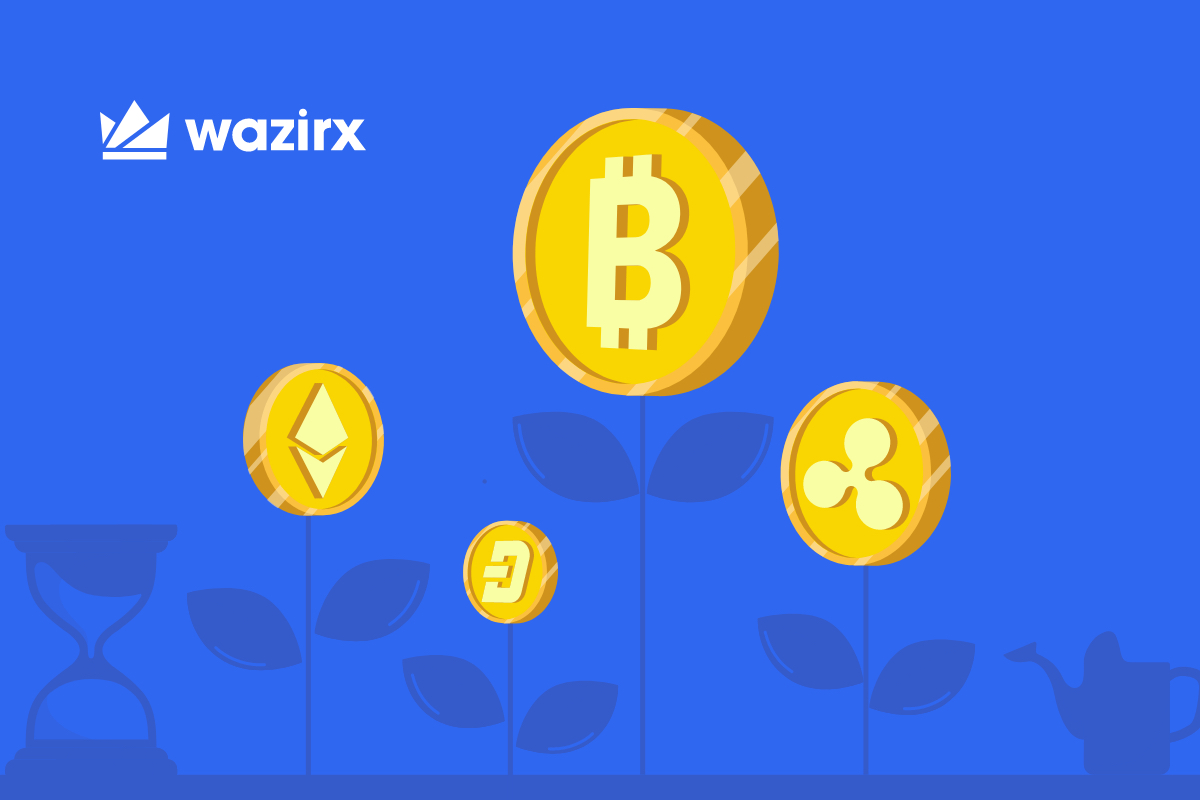 WazirX Faces 97% Plunge In Trading Volume Amid India’s Crypto Scrutiny
