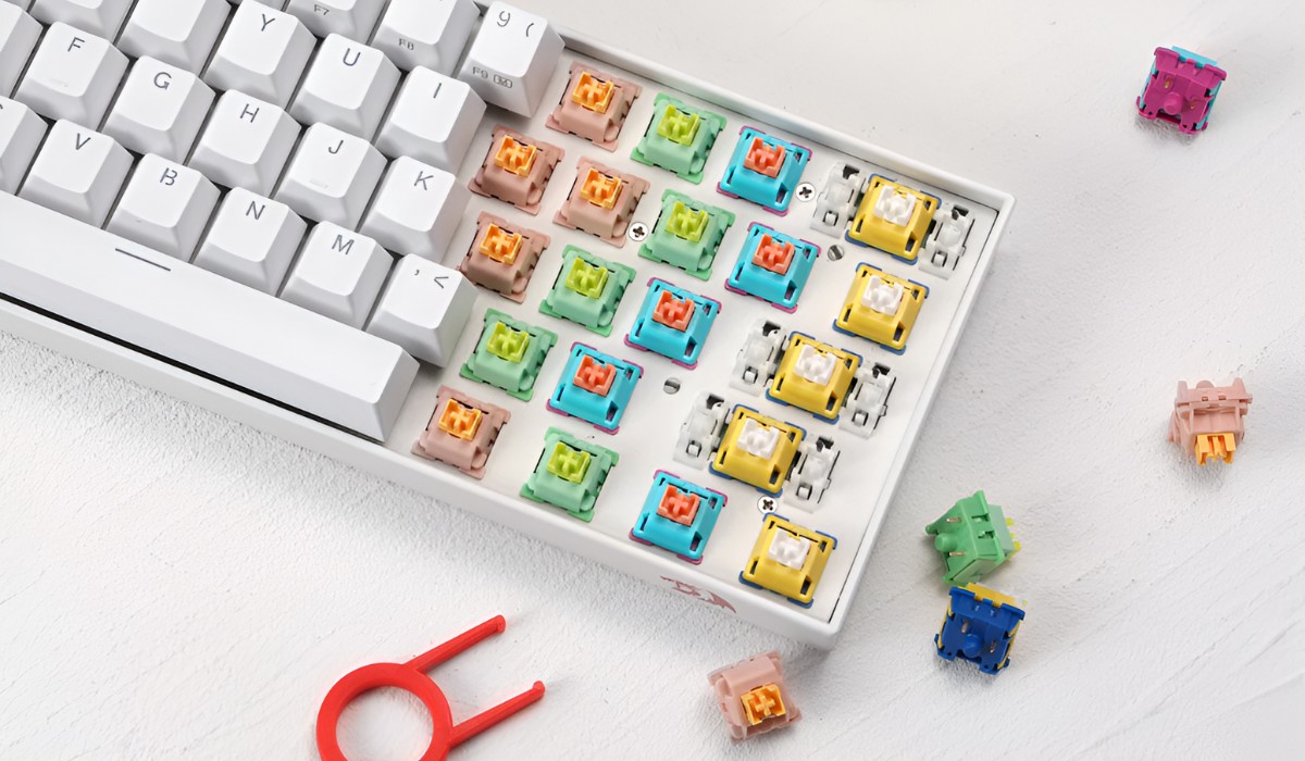 what-are-the-switches-for-in-a-mechanical-keyboard