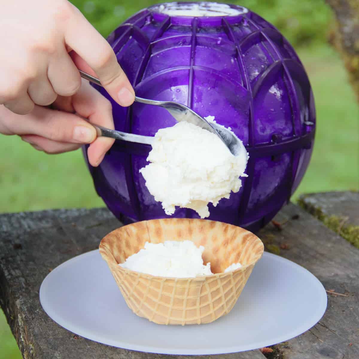 what-do-you-need-to-make-ice-cream-in-an-ice-cream-maker-ball