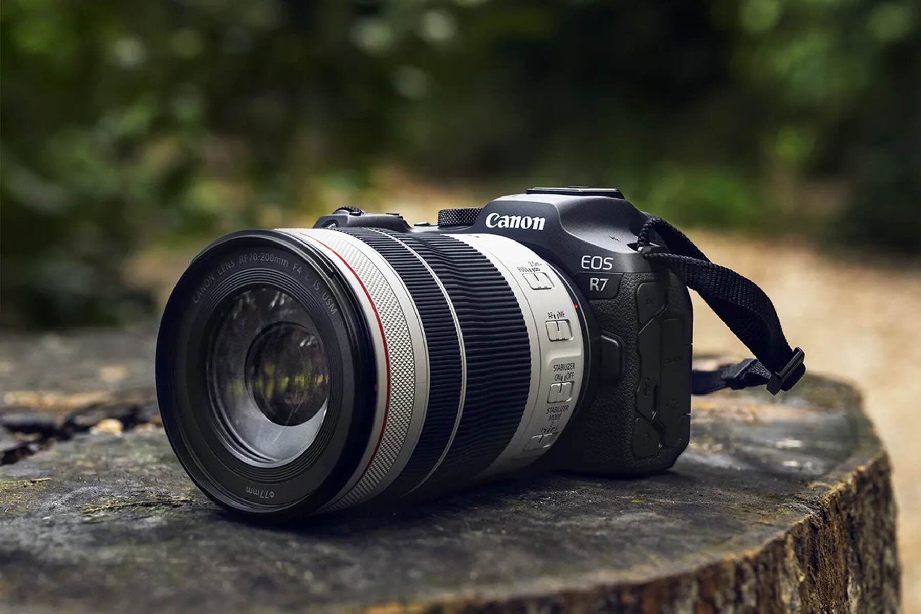what-is-a-canon-mirrorless-camera